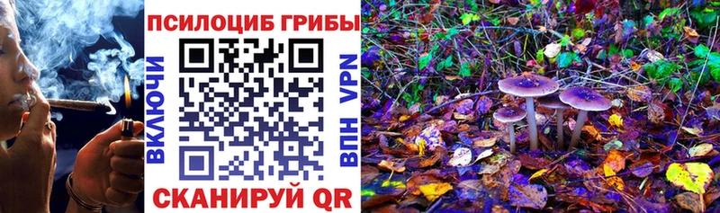 Галлюциногенные грибы Magic Shrooms  закладка  OMG   Ишимбай 