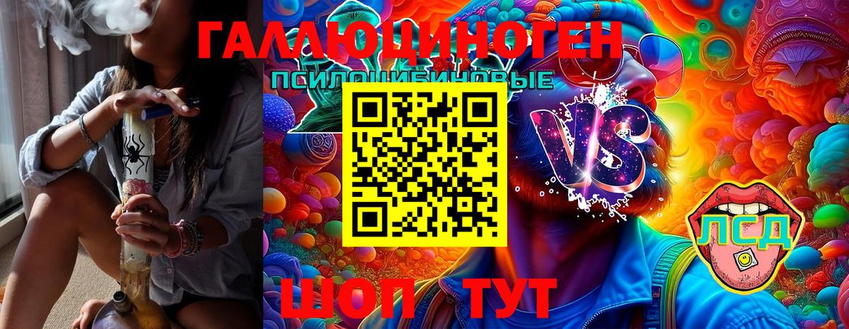 Ишимбай  Псилоцибиновые грибы Psilocybe  Вход с VPN 